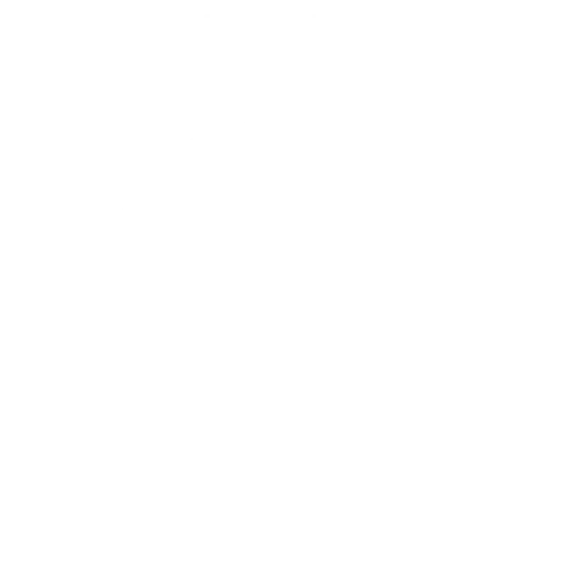 BÖR University